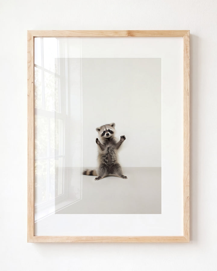 Studio Raccoon Art Print