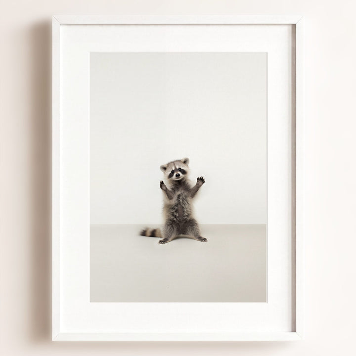 Studio Raccoon Art Print