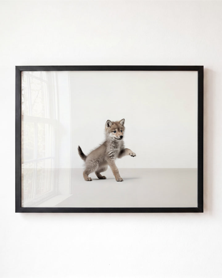 Studio Wolf Art Print