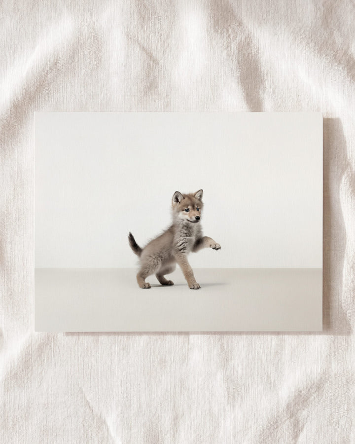 Studio Wolf Art Print
