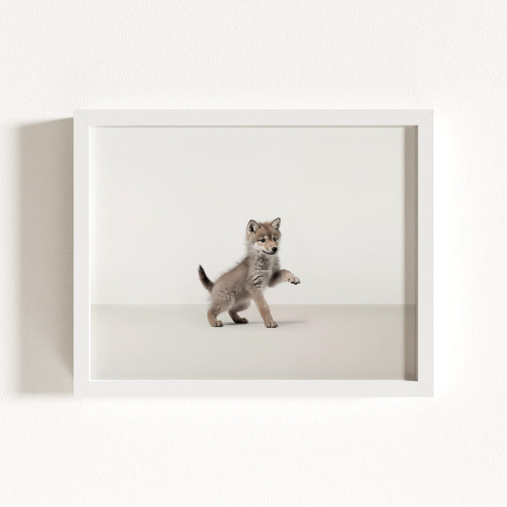 Studio Wolf Art Print