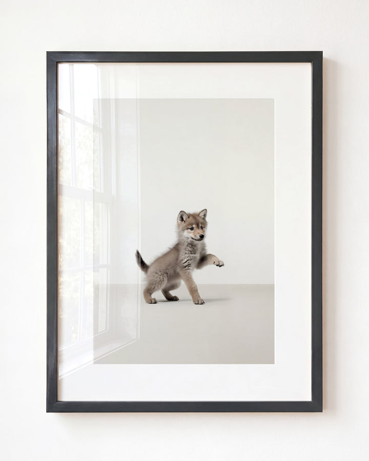 Studio Wolf Art Print