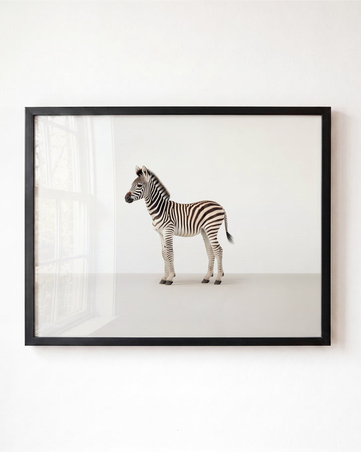 Studio Zebra Art Print