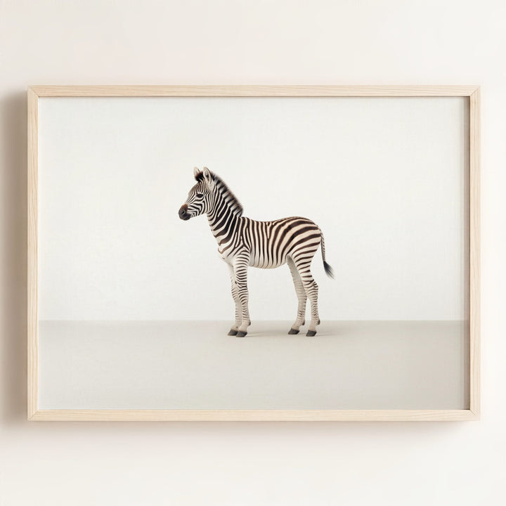 Studio Zebra Art Print