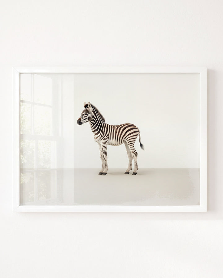 Studio Zebra Art Print