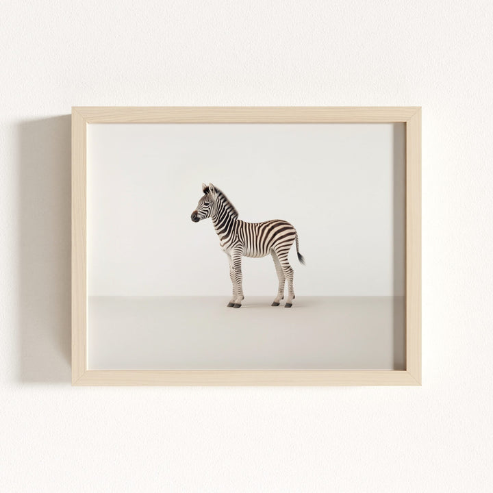 Studio Zebra Art Print