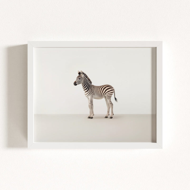 Studio Zebra Art Print