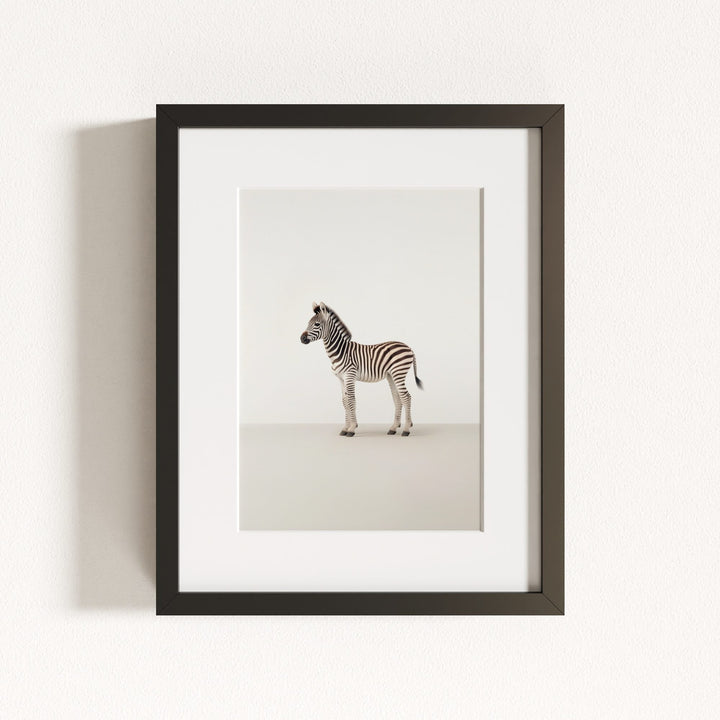 Studio Zebra Art Print