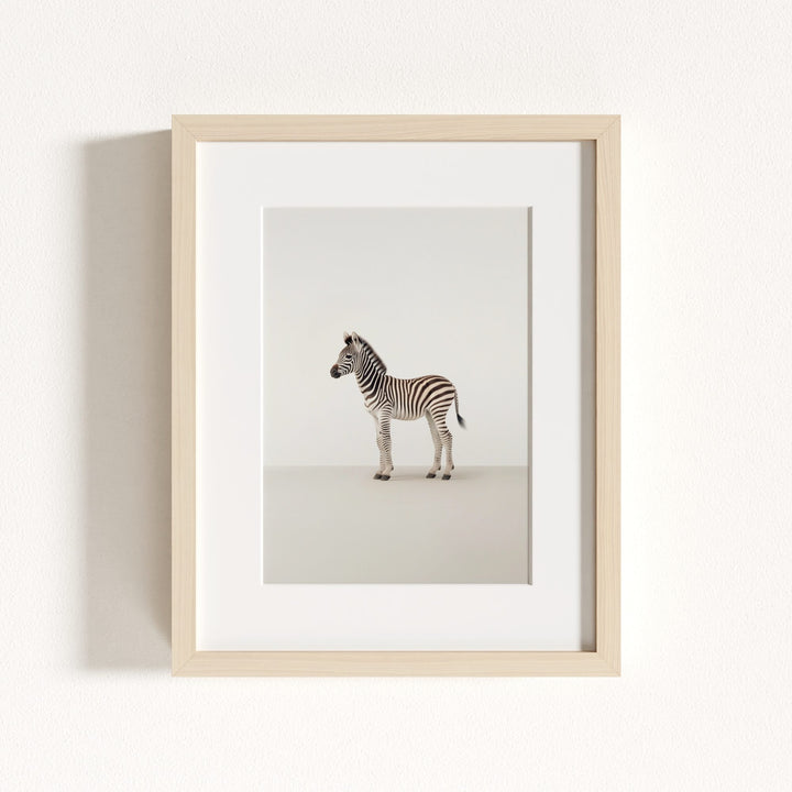 Studio Zebra Art Print