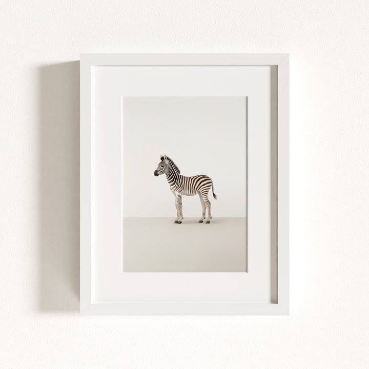 Studio Zebra Art Print