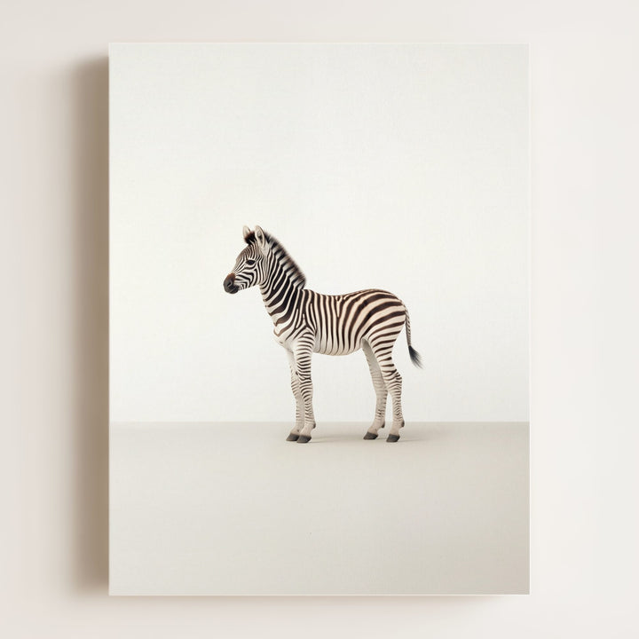 Studio Zebra Art Print
