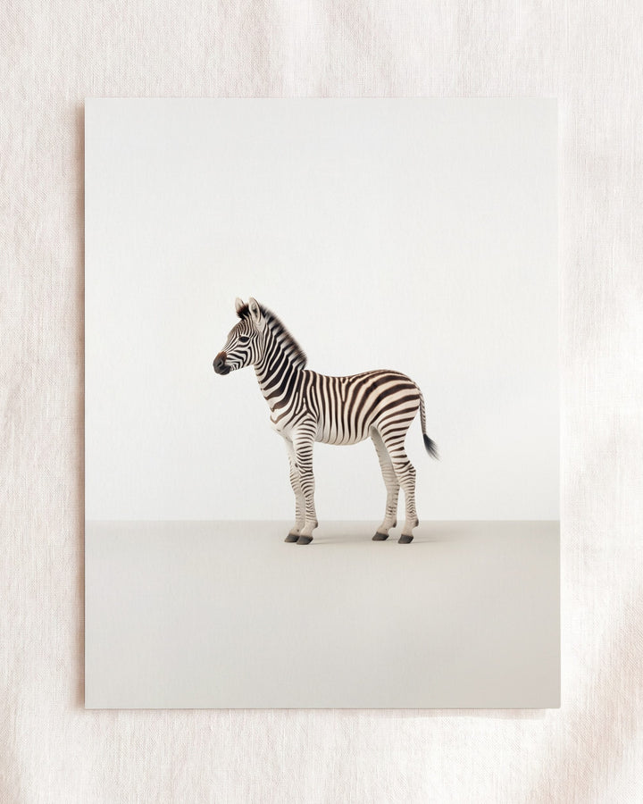 Studio Zebra Art Print
