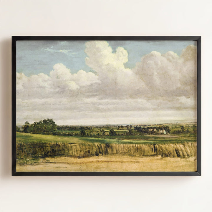 Summer Wheatfield