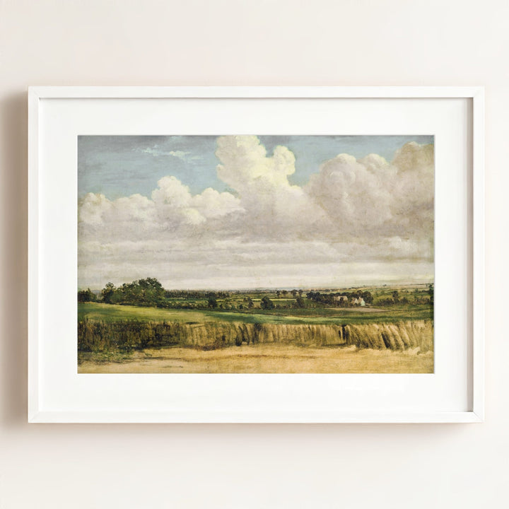 Summer Wheatfield