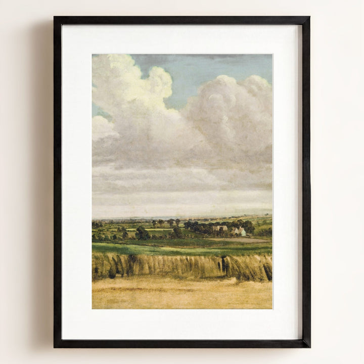 Summer Wheatfield