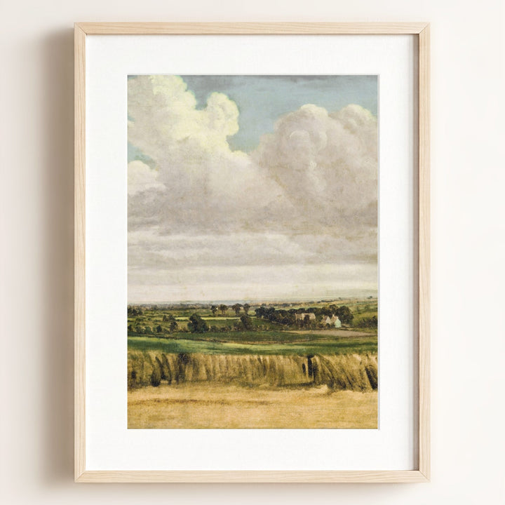 Summer Wheatfield