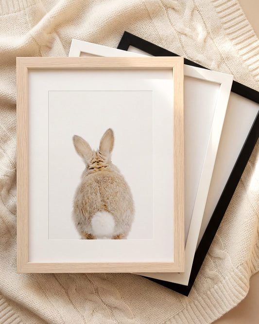 The Baby Animals 2026 Collection