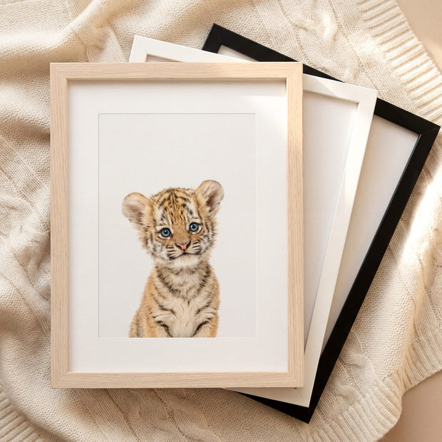 The Baby Animals 2026 Collection