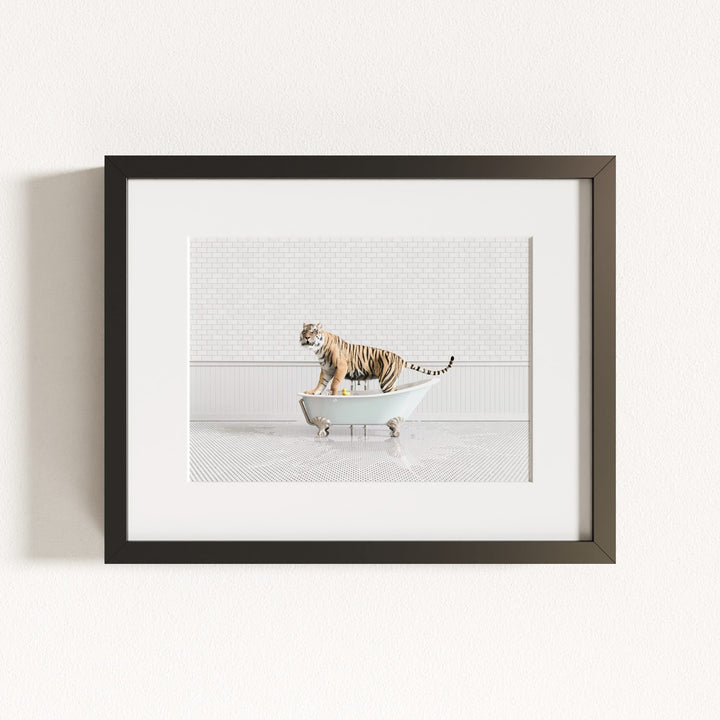 Tiger in Blue Bathtub