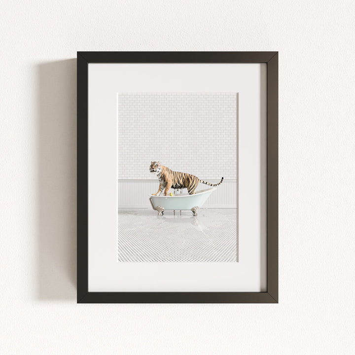 Tiger in Blue Bathtub