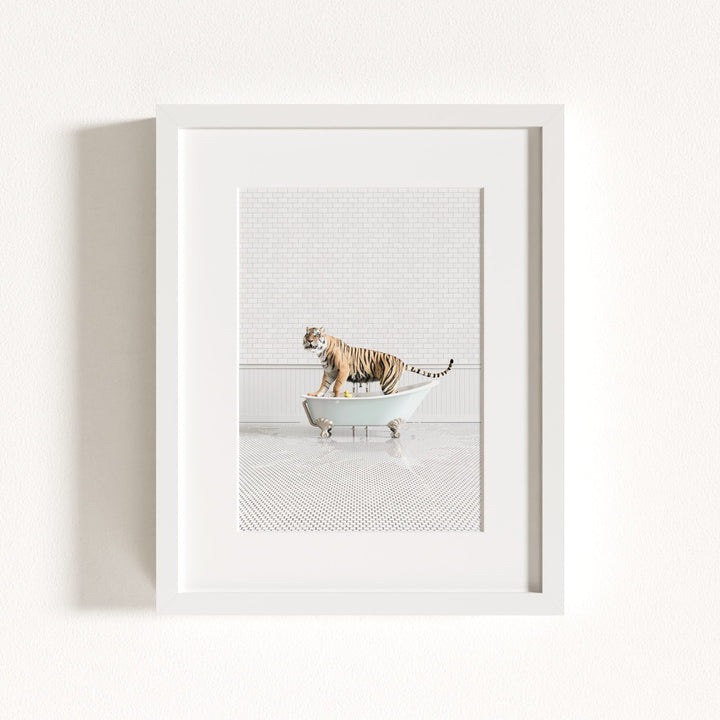 Tiger in Blue Bathtub