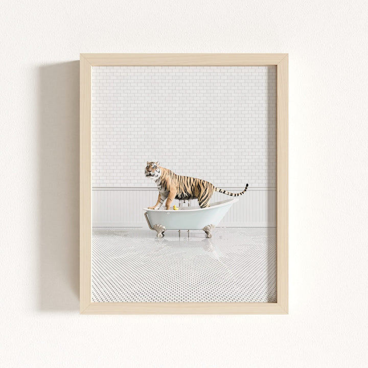 Tiger in Blue Bathtub