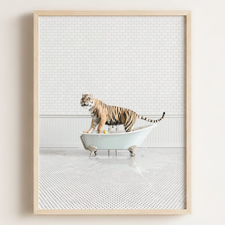 Tiger in Blue Bathtub