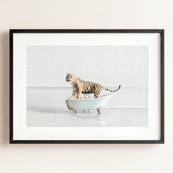 Tiger in Blue Bathtub