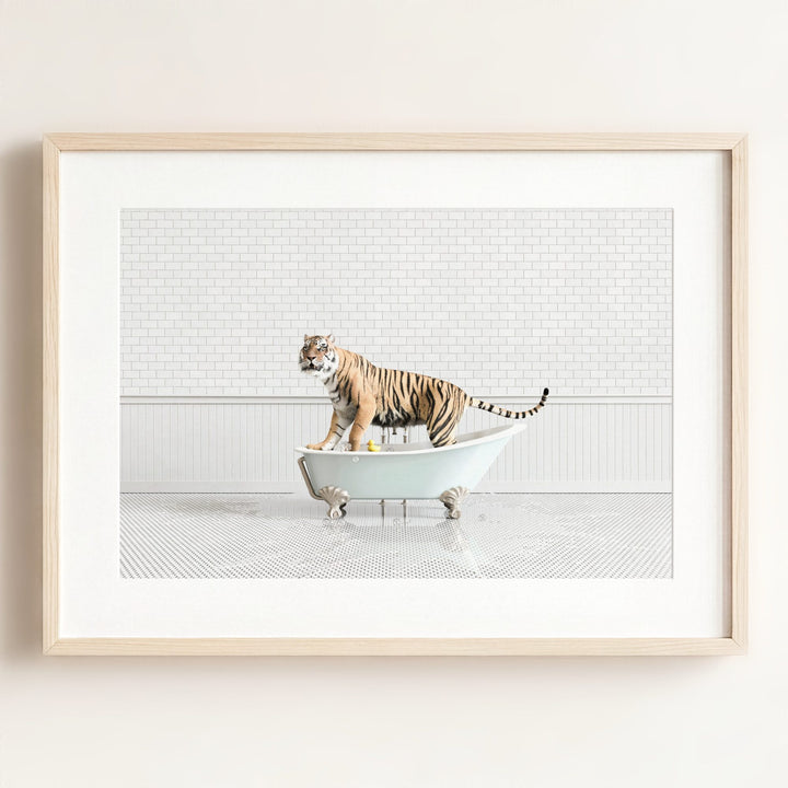 Tiger in Blue Bathtub