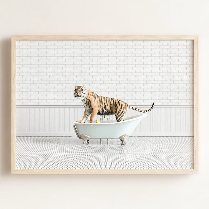 Tiger in Blue Bathtub