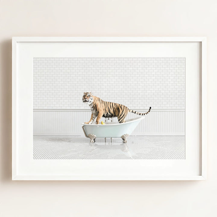 Tiger in Blue Bathtub