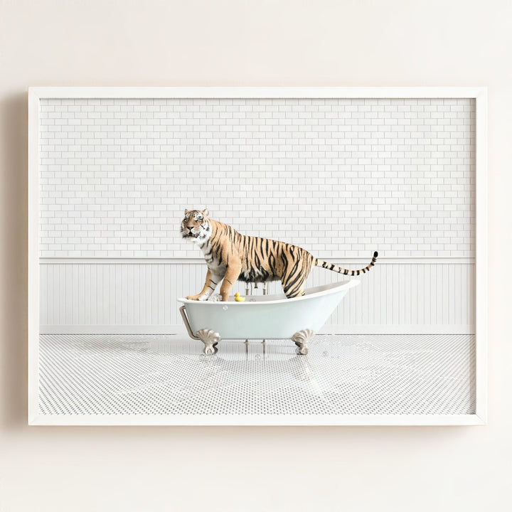 Tiger in Blue Bathtub