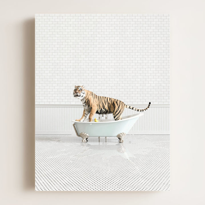 Tiger in Blue Bathtub