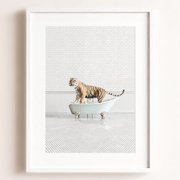 Tiger in Blue Bathtub