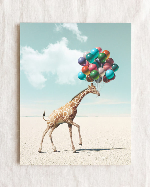 Up, Up & Away Collection