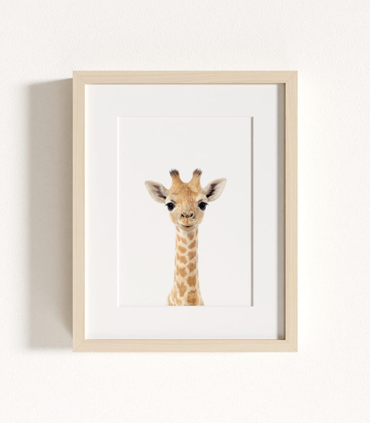 Baby Safari Animals Nursery Decor - African Animals Set of 6 Prints