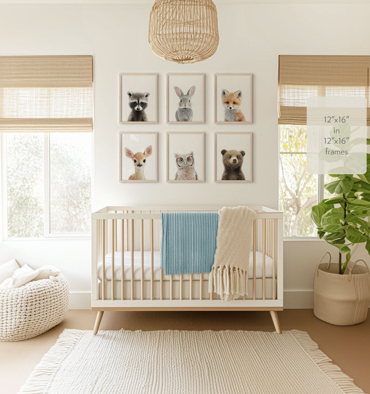 Woodland Animals Set of 6 Nursery Art Prints