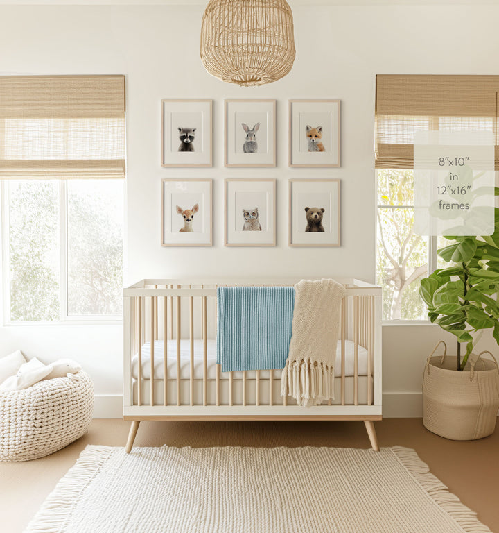 Woodland Animals Set of 6 Nursery Art Prints