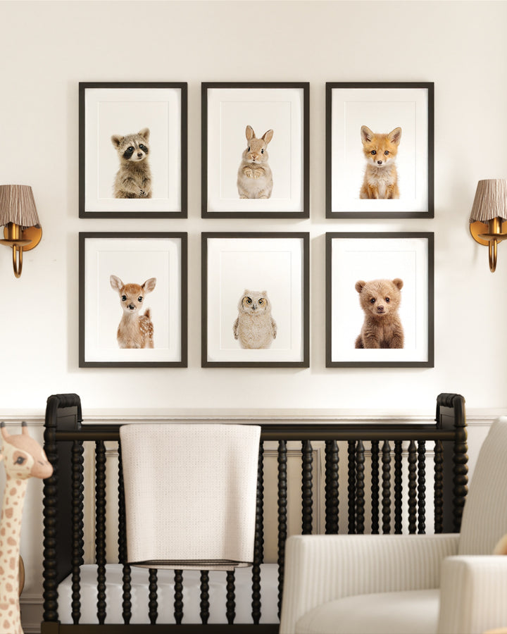 Woodland Animals Set of 6 Nursery Art Prints