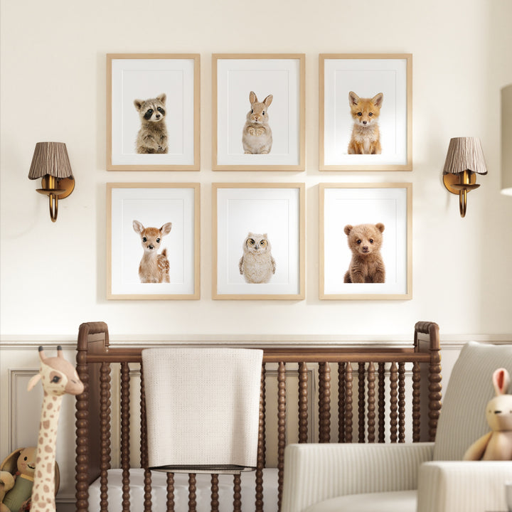 Woodland Animals Set of 6 Nursery Art Prints