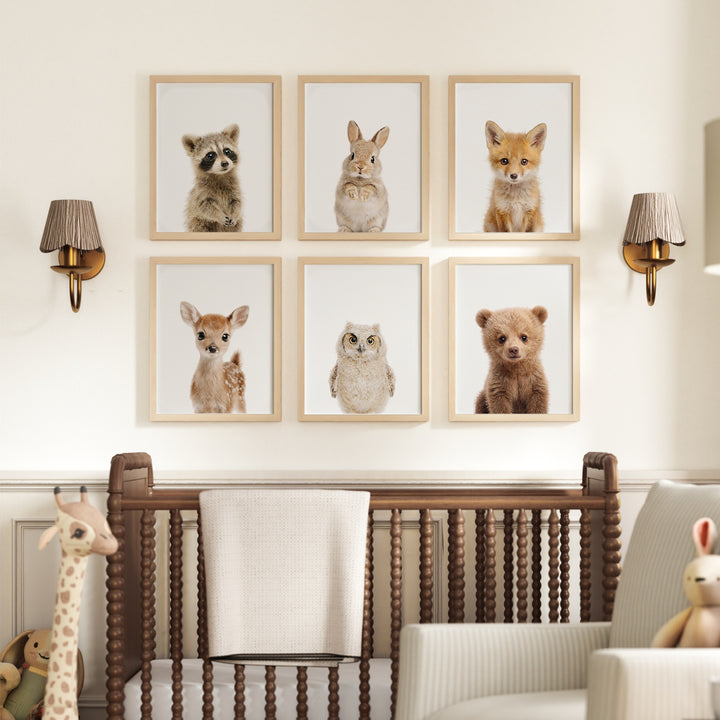 Woodland Animals Set of 6 Nursery Art Prints