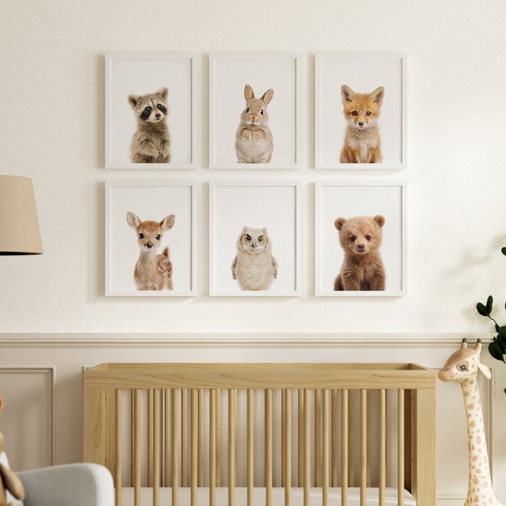 Woodland Animals Set of 6 Nursery Art Prints