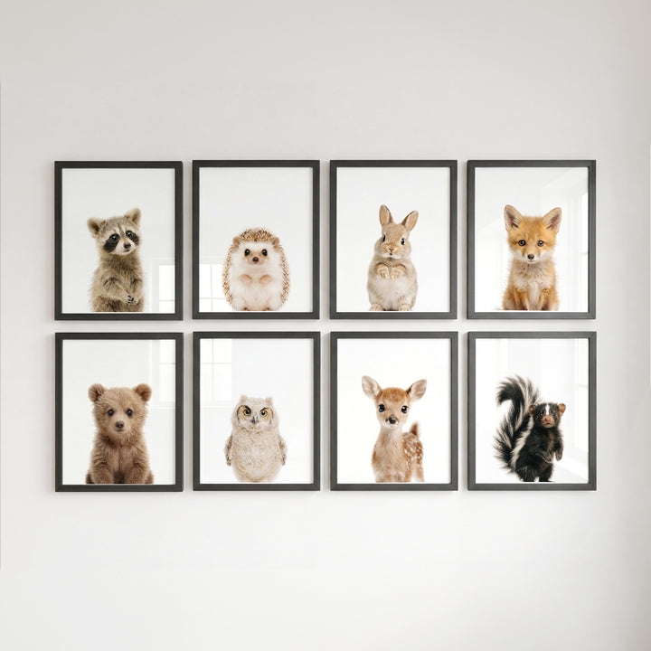 Woodland Animals Set of 8 Baby Animals Nursery Decor Art Prints