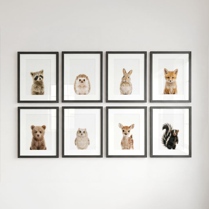 Woodland Animals Set of 8 Baby Animals Nursery Decor Art Prints