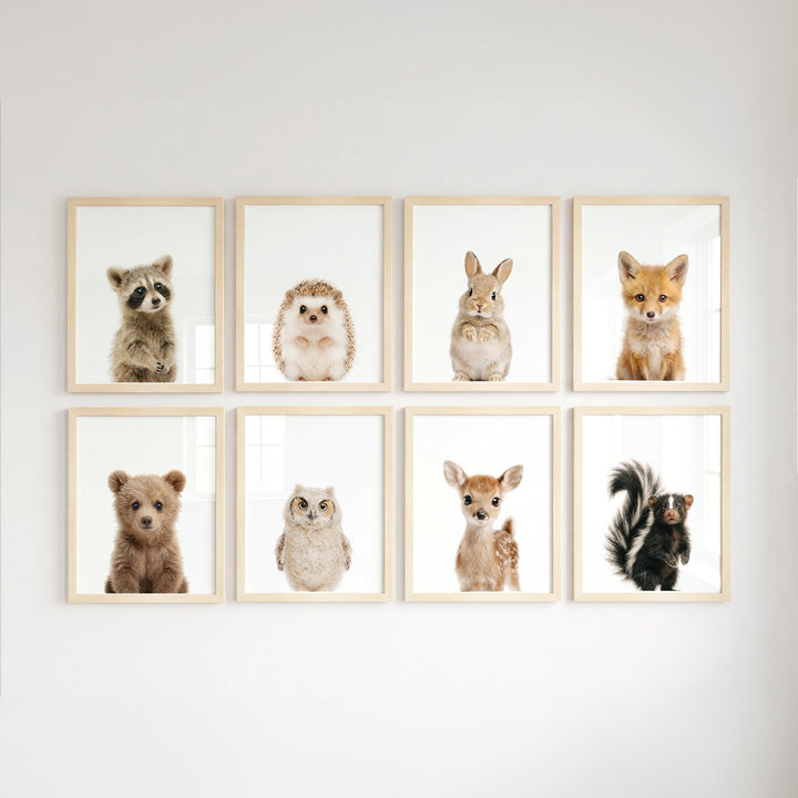 Woodland Animals Set of 8 Baby Animals Nursery Decor Art Prints