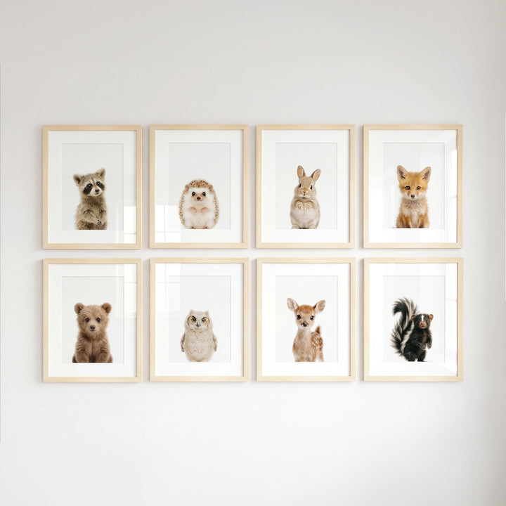 Woodland Animals Set of 8 Baby Animals Nursery Decor Art Prints