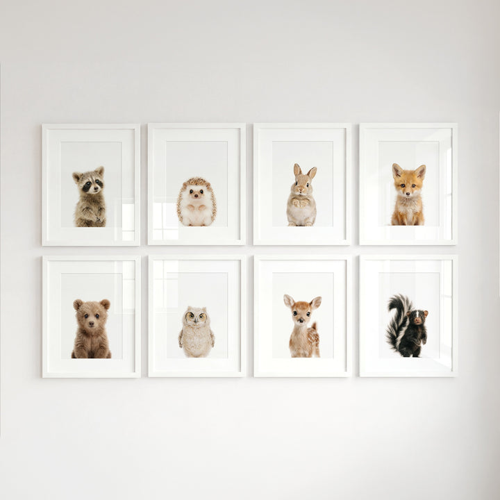 Woodland Animals Set of 8 Baby Animals Nursery Decor Art Prints