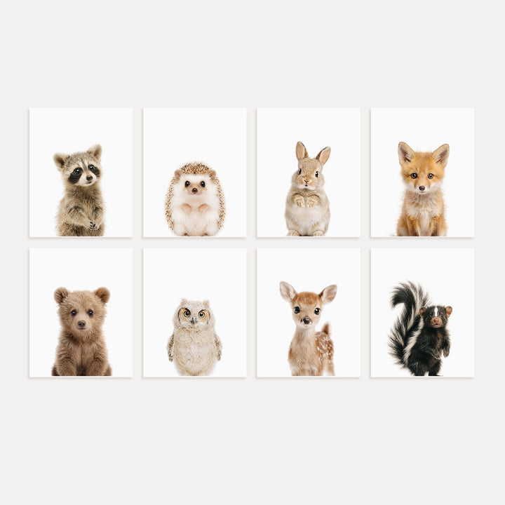 Woodland Animals Set of 8 Baby Animals Nursery Decor Art Prints