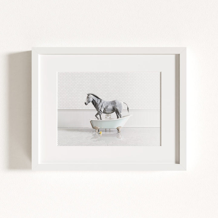 Zebra in Blue Bathtub