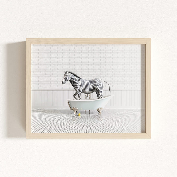 Zebra in Blue Bathtub